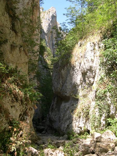 Turda Gorge: white limestone cliffs, green woods and boulders on the trail