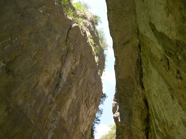 Narrow limestone rock walls with green vegetation, blue sky visible in the gap