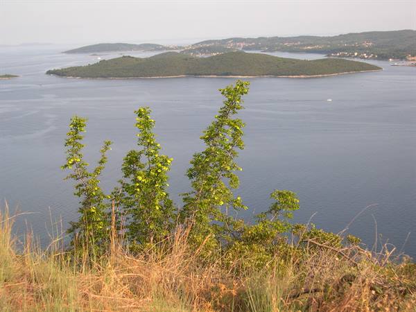 ISLANDS IN FRONT OF OREBIC