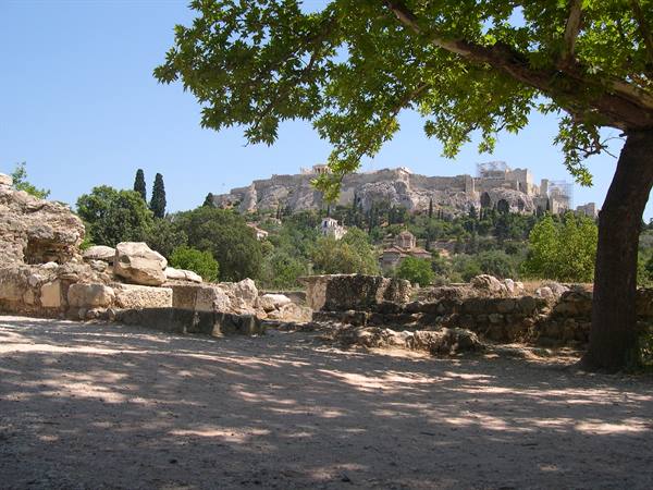 LOOKING AT THE ACROPOLIS IN THE SHADE OF AN ANCIENT TREE