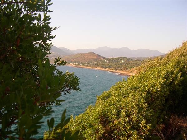 BETWEEN GREEN AND SEA