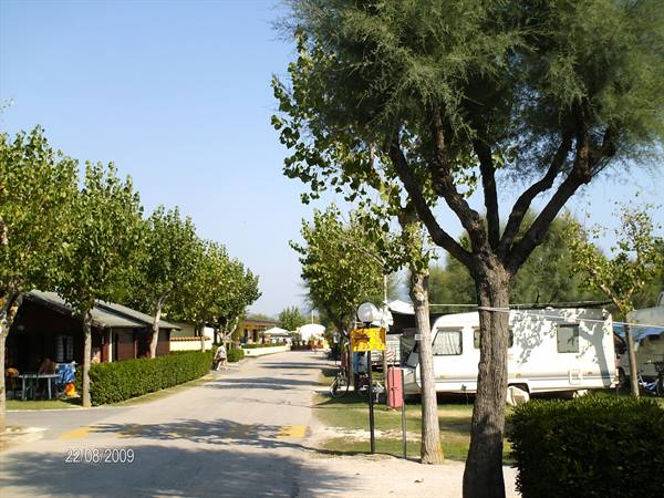 Tree-lined campsite road with caravan and bungalows in the sun