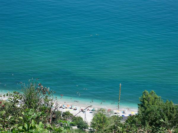 Beach with umbrellas and swimmers on pale sand, turquoise sea below greenery