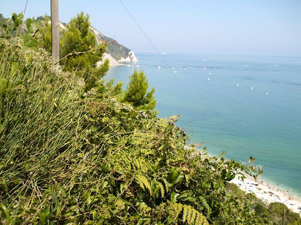 Mediterranean shrubs on white limestone cliff above beach and anchored boats, Gargano