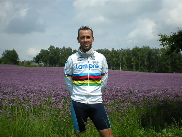 EXPANSE OF BEAUTIFUL COLOURFUL FLOWERS