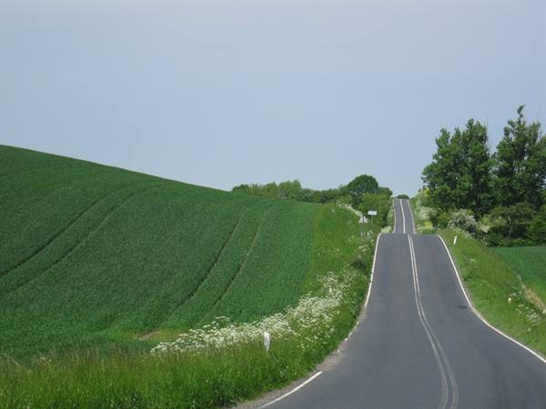 ON THE ROAD. . .