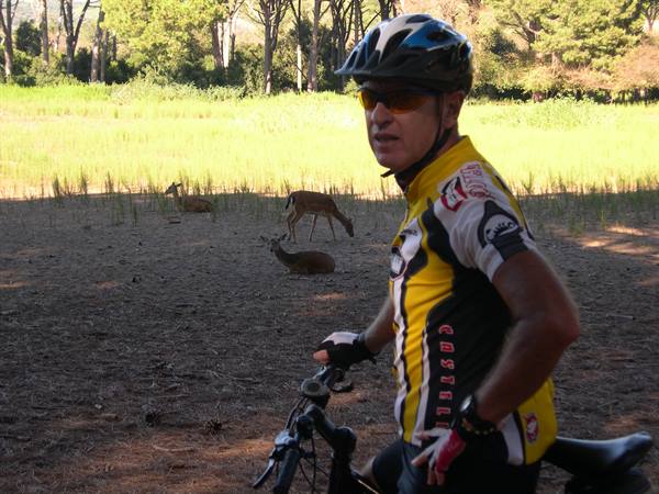 DAD AND THE FALLOW DEER