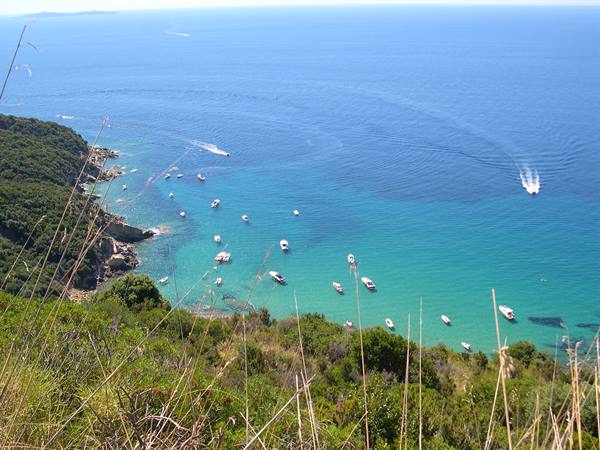 Boats anchored in turquoise water beside Mediterranean scrub and rocky coast