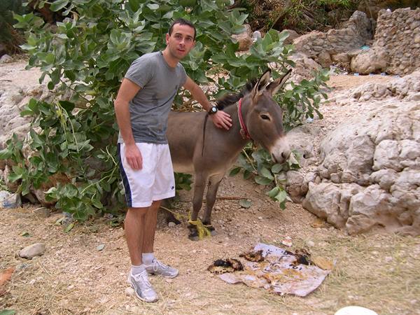 A NICE FOUR-LEGGED FRIEND . . .