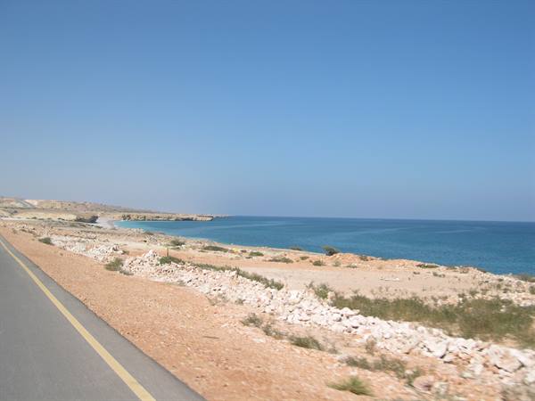 A STRETCH OF WILD COAST