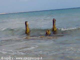 Old wooden posts covered in algae stick out of the sea water