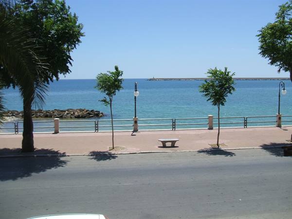 Seaside promenade with stone bench, palm trees and turquoise sea under summer sun