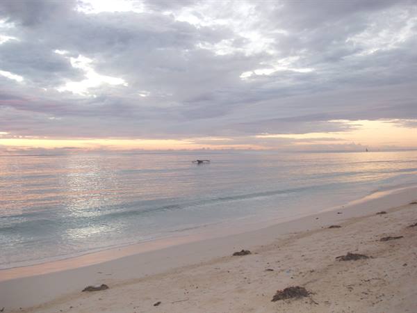 Kiwenga Dawn