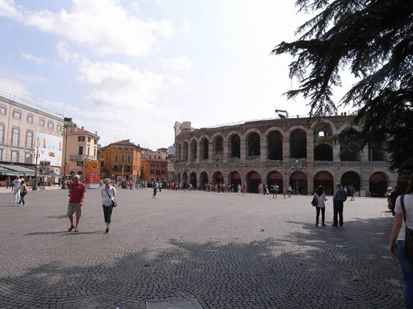 THE ARENA
