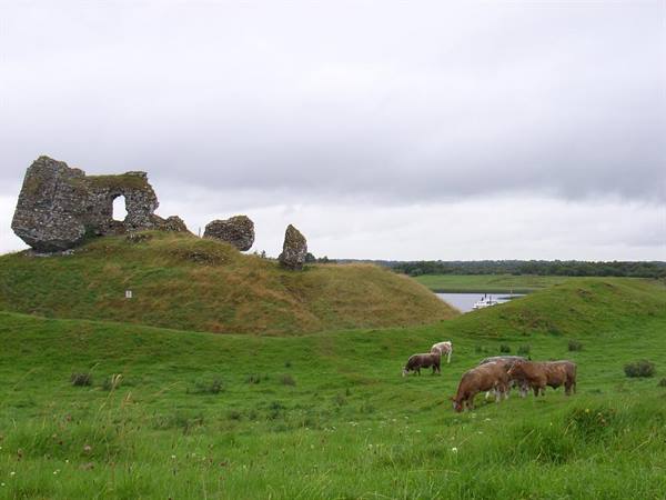 IRISH PASTURE