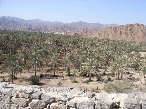 EMIRATE OF FUJAIRAH