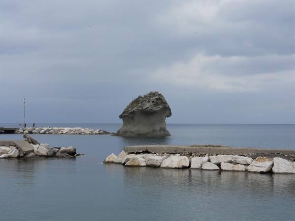 LACCO AMENO - THE MUSHROOM