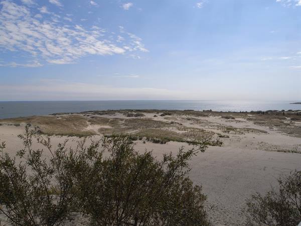 LITHUANIA - THE GREAT DUNE