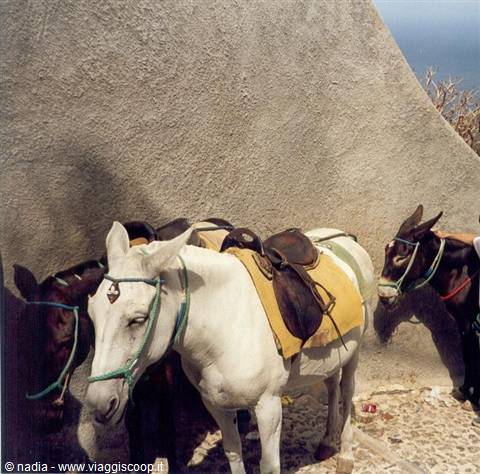 SANTORINI - DESCENT