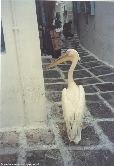 PATMOS - FRIEND...
