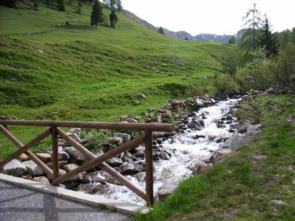 BREMBO STREAM BRANCH