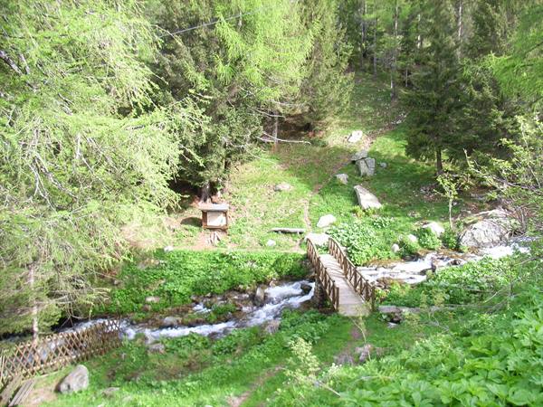 BREMBO RIVER BRANCH