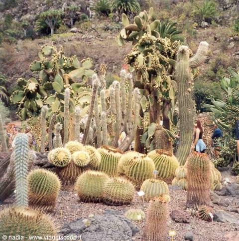 GOMERA