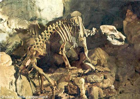 BARENHOHLE CAVE
