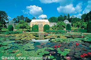 WILHELMA ZOO