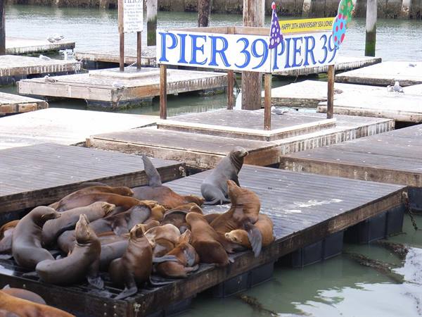 SAN FRANCISCO - PIER 39
