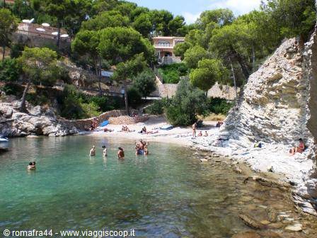 Swimmers in turquoise water among limestone rocks and pines, Mediterranean cove
