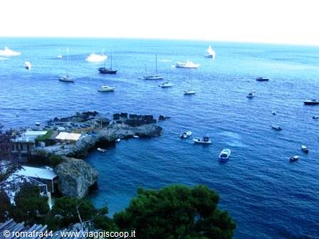Boats and yachts anchored beside rocky cliffs and green pine trees