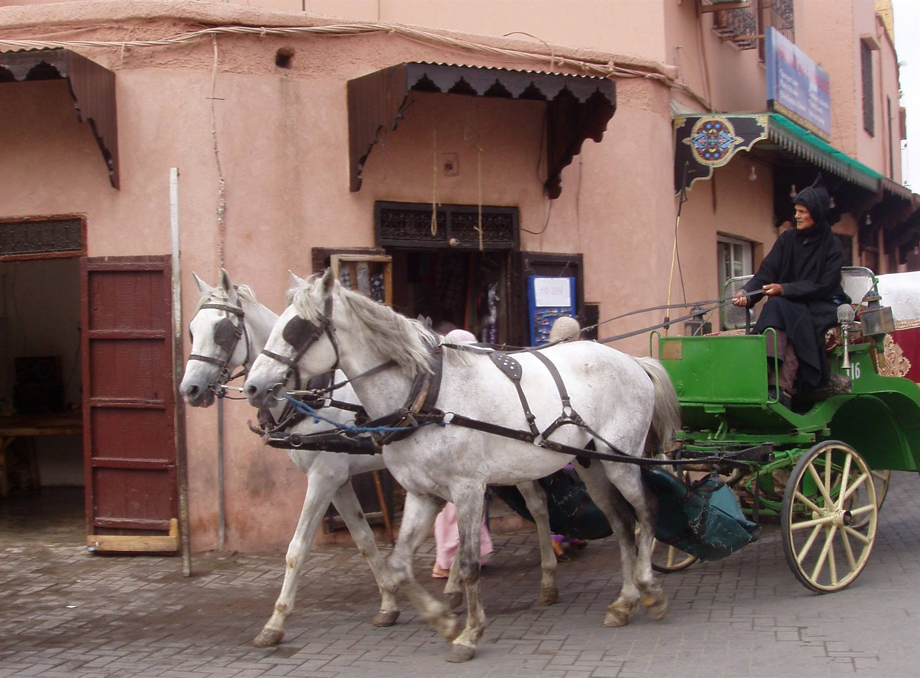 the calash, traditional means of transport