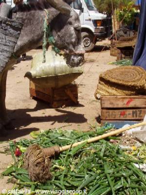 A donkey with wicker baskets beside crates of green onions at the market
