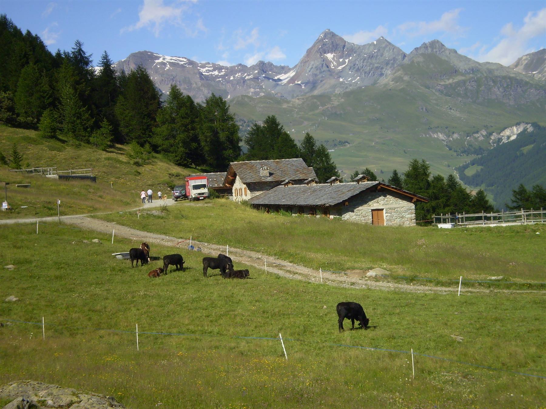 farm
