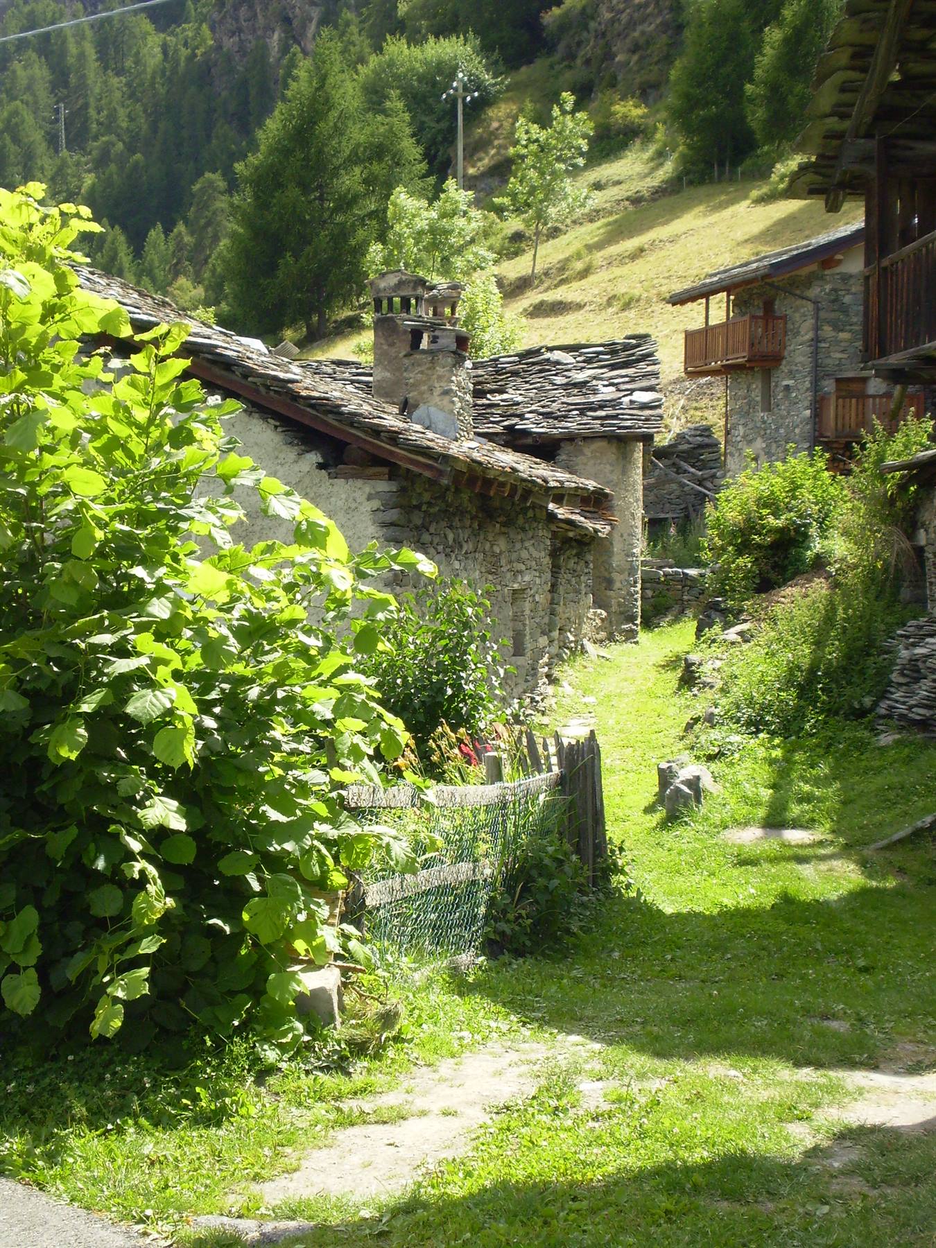 Le petit monde hamlet