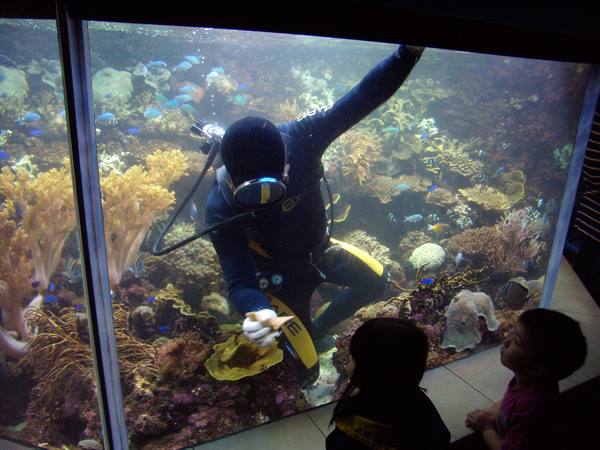 Singapore - Ocean Park