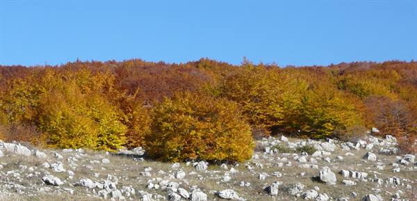 Autumn in Abruzzo