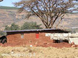 Mud house