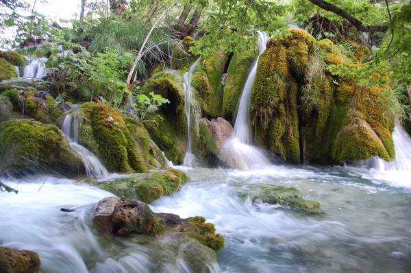 Small waterfalls cascade over green mossy rocks among trees