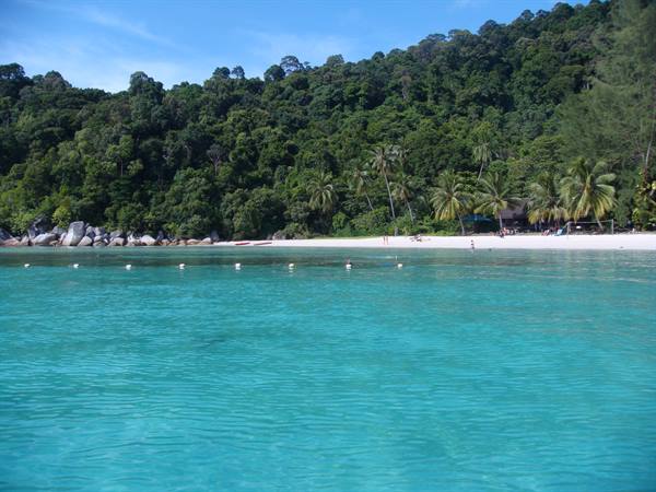 Perenthian Turtle beach
