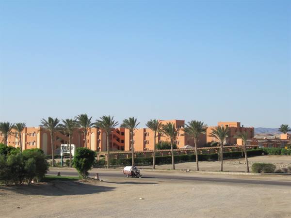 10 - Tulip Garden