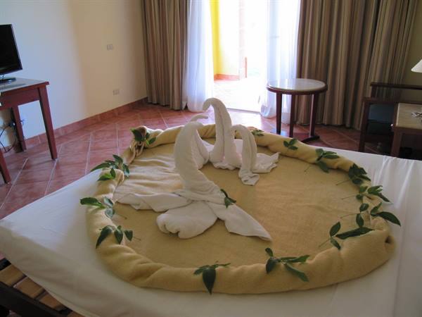 15 - Ibrahim's swans