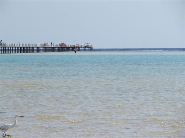 21 - pier with heron