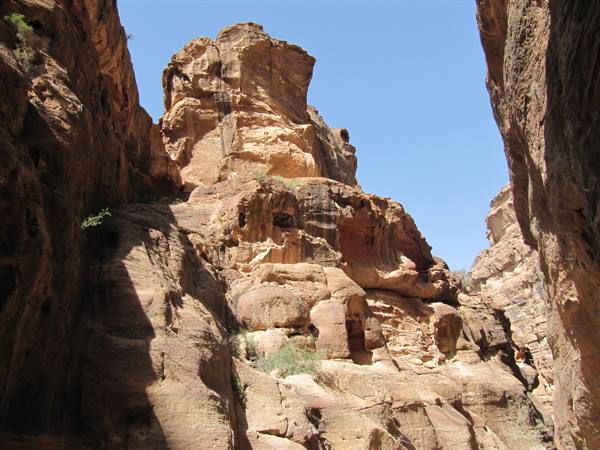 rocks and vegetation