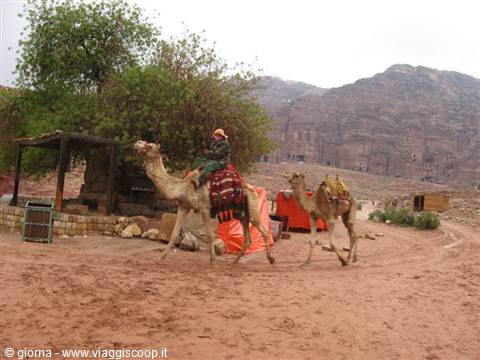 Even the camels run from the rain