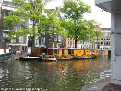 Wooden houseboat with flowers on Amsterdam canal among brick houses