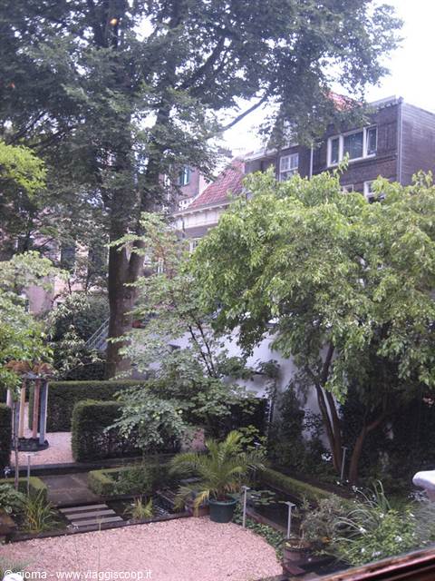 Shaded garden with hedges and potted palms, brick houses behind the trees