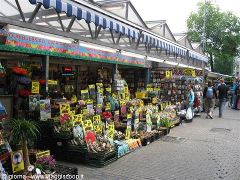 Flower and bulb stall under glass canopy, customers walking on the sidewalk, Amsterdam