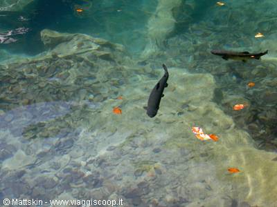 Blausee